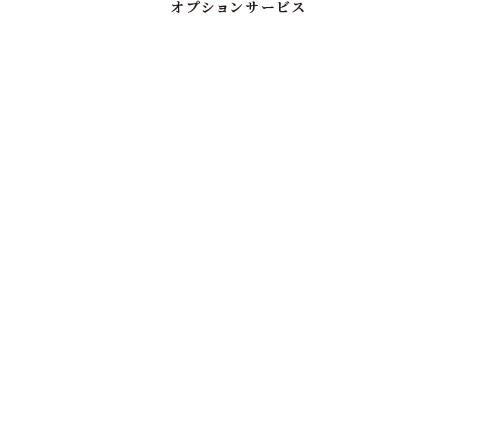 オプションサービス